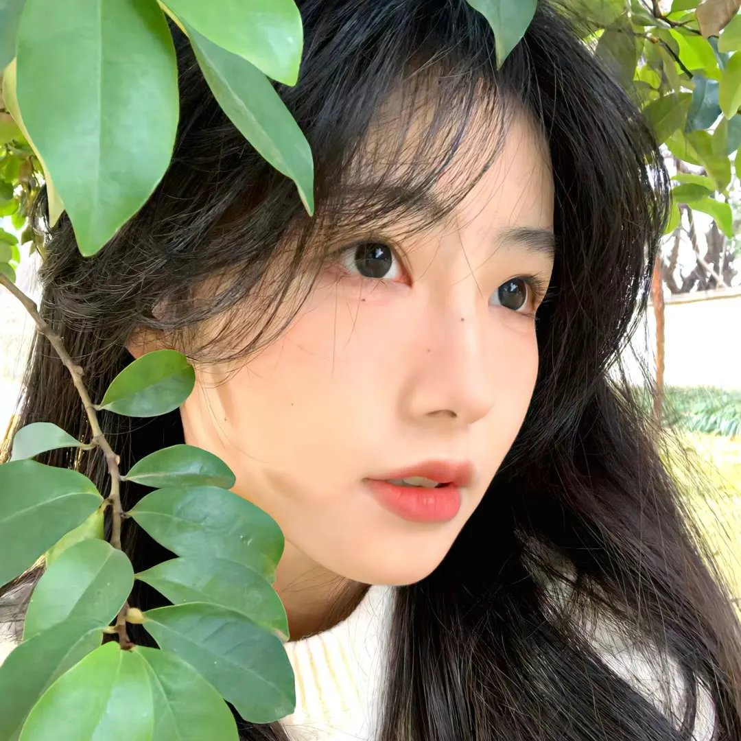 血肉秀