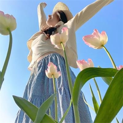 拳外重生